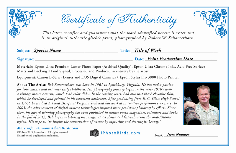 Certificate Of Authenticity Photography Inspirational Bird Spa