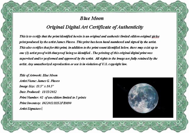 Certificate Of Authenticity Template for Art Luxury Certificate Authenticity Wording – Printable Receipt