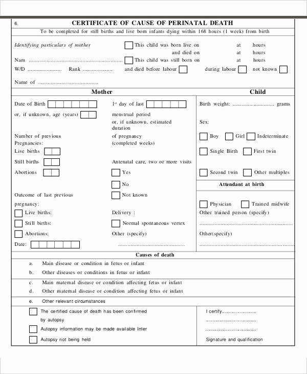 Certificate Of Death Template Elegant who issues Death Certificates