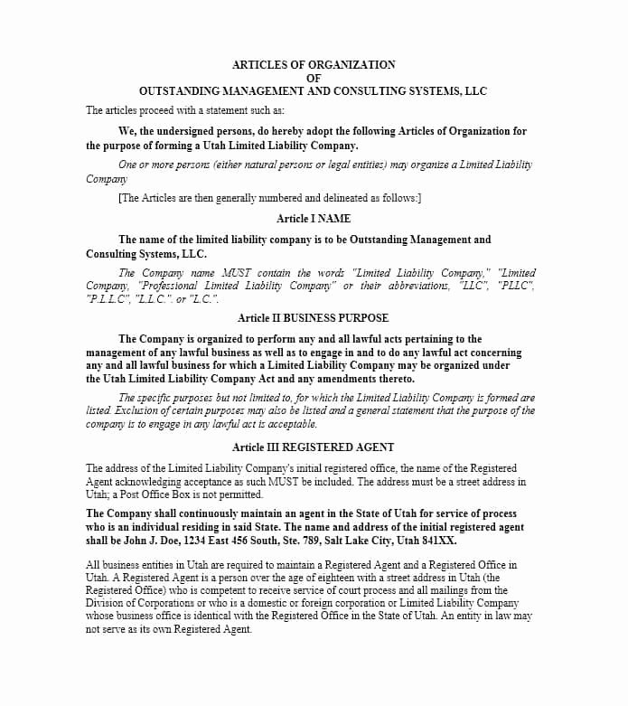 articles of incorporation template word