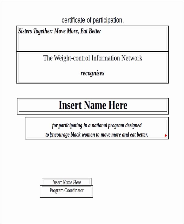 Certificate Of Participation Template Word Best Of Certificate Sample In Word 9 Examples In Word