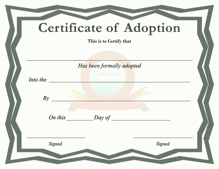 Child Adoption Certificate Template Beautiful 26 Advanced Adoption Certificate Template Pa Pro