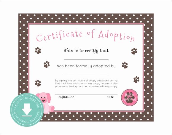 Child Adoption Certificate Template Unique 19 Sample Adoption Certificates