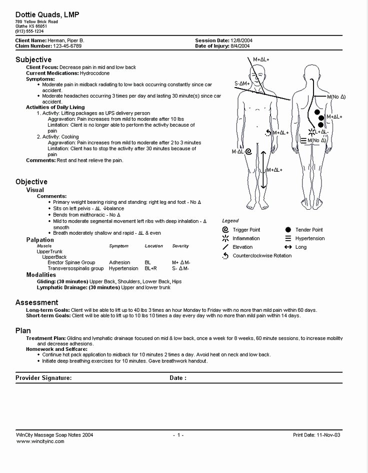 Chiropractic soap Notes Template Free Awesome What is A soap Note