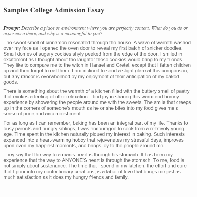 College Application Sample Inspirational College Admission Essay Basic Guide with Examples