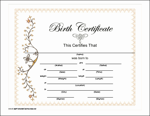 Create A Birth Certificate for School Project Fresh Pin by Becky Crossett On Baby Memory Book
