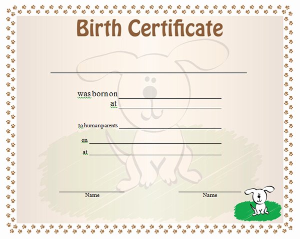 Create Birth Certificate Template Awesome 13 Free Birth Certificate Templates