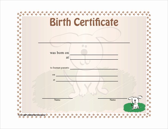 Create Birth Certificate Template Lovely Free 17 Birth Certificate Templates In Illustrator