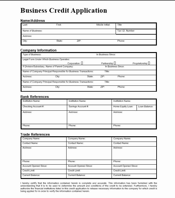 Credit Application form Unique 5 Professional Business Credit Application Template Word