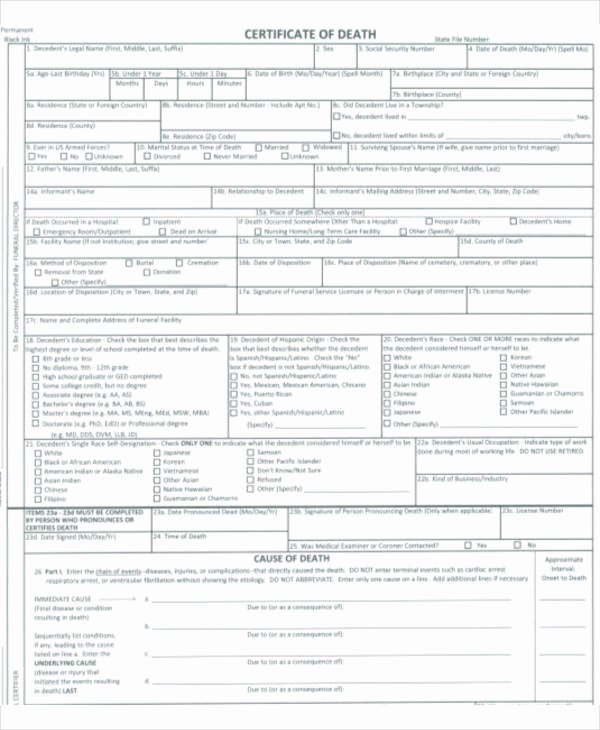 Death Certificate Template Microsoft Word Lovely who issues Death Certificates