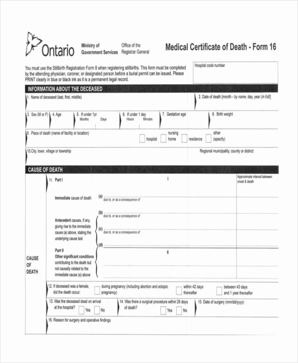 Death Certificate Template Word Beautiful Free Medical Certificate Templates 33 Free Word Pdf