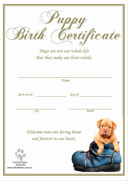 Dog Birth Certificate Template Awesome Puppy Birth Certificate
