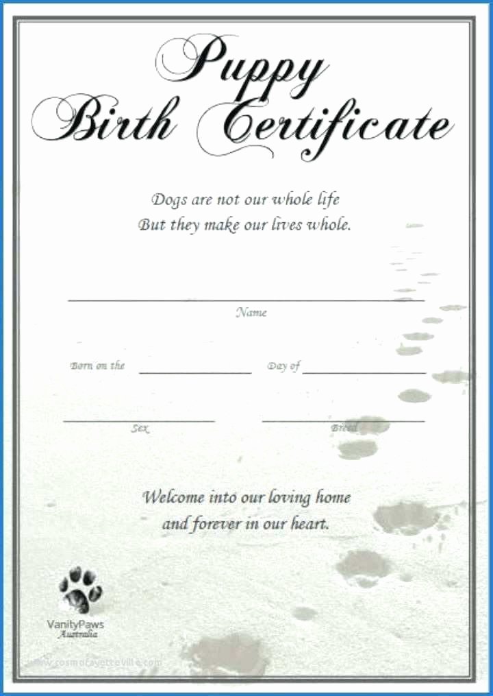 Dog Birth Certificate Template Best Of Ethercard