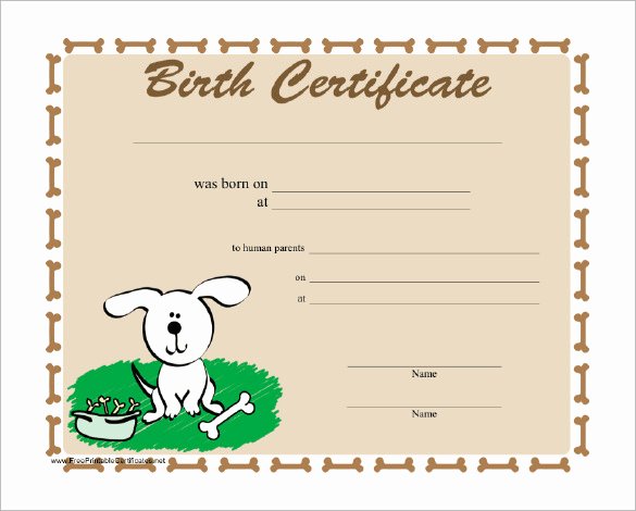 Dog Birth Certificate Template Elegant Free 17 Birth Certificate Templates In Illustrator
