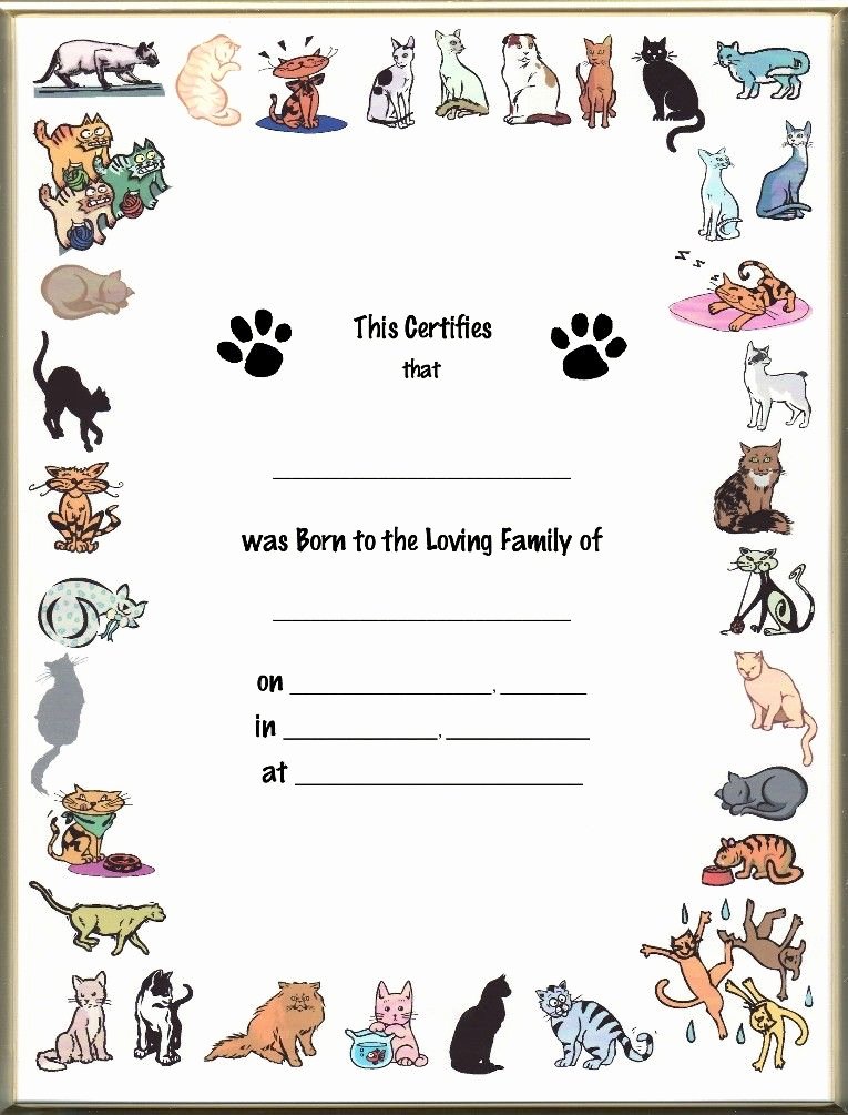 Dog Birth Certificate Template Free New Pet Birth Certificate