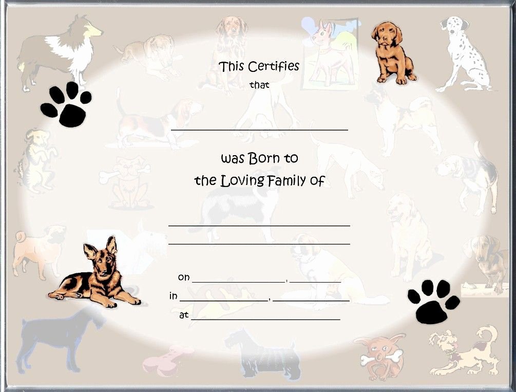 Dog Birth Certificate Template Inspirational Pet Birth Certificate