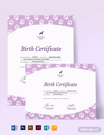 Dog Birth Certificate Templates Beautiful Simple Pet Birth Certificate Template Download 205