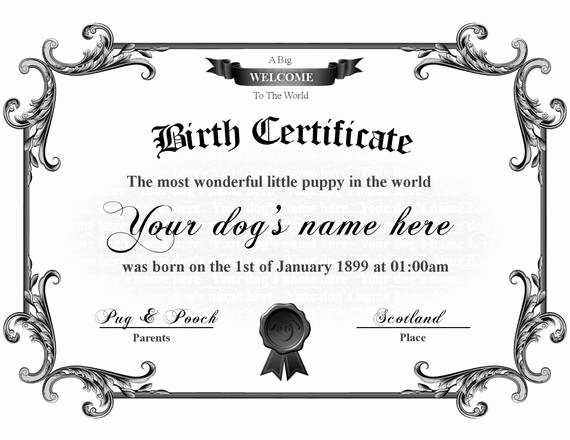 Dog Birth Certificate Templates Best Of Etsy Your Place to and Sell All Things Handmade