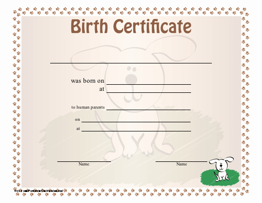 Dog Birth Certificates Printable Fresh Florida Judge Approves Birth Certificate Listing Three
