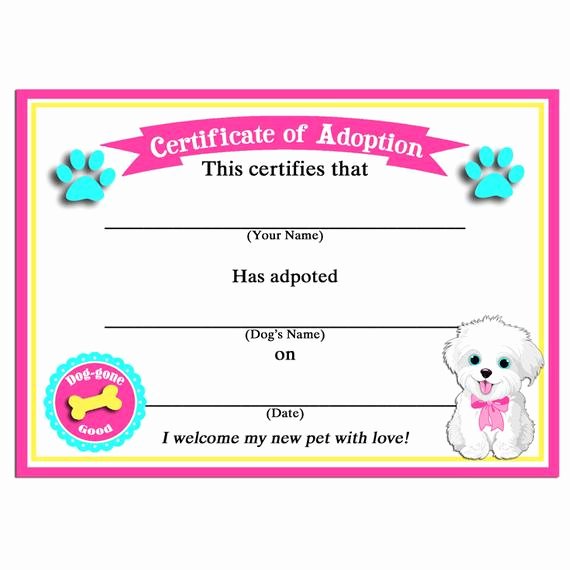 Dog Birth Certificates Printable Luxury Off Sale Puppy Dog Adoption Certificates Instant