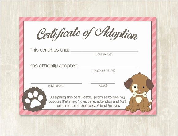 Dog Birth Certificates Templates Beautiful 26 Sample Adoption Certificates In Illustrator