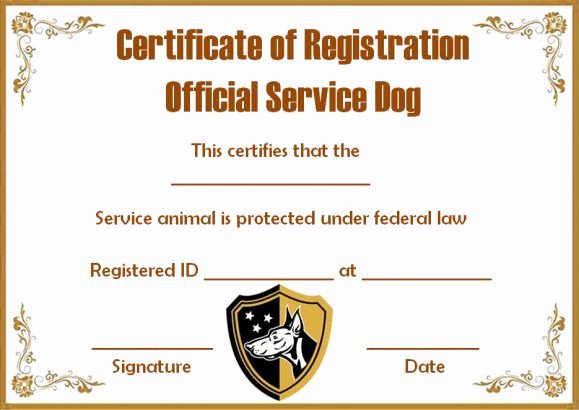 Dog Training Certificate Template Elegant Service Dog Papers Template
