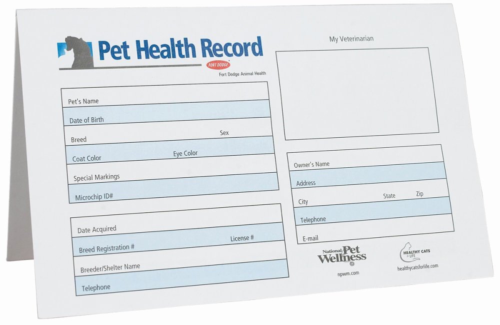 Dog Vaccination Certificate Template Fresh Camping with Dogs Rv Lovers Direct