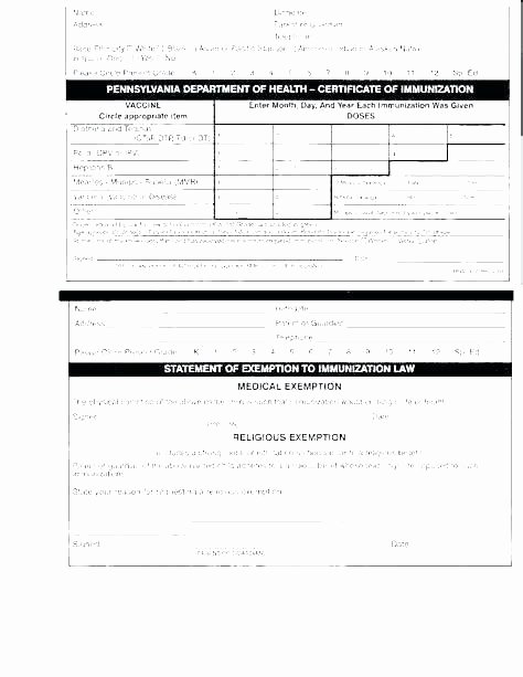 Dog Vaccination Certificate Template Lovely Puppy Shot Record Template