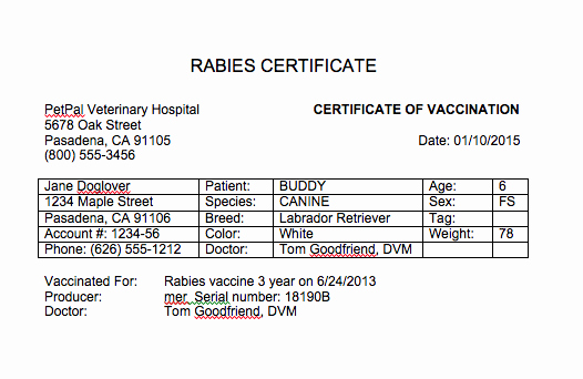 Dog Vaccination Certificate Template Luxury Certificate Of Vaccination Template for Dogs
