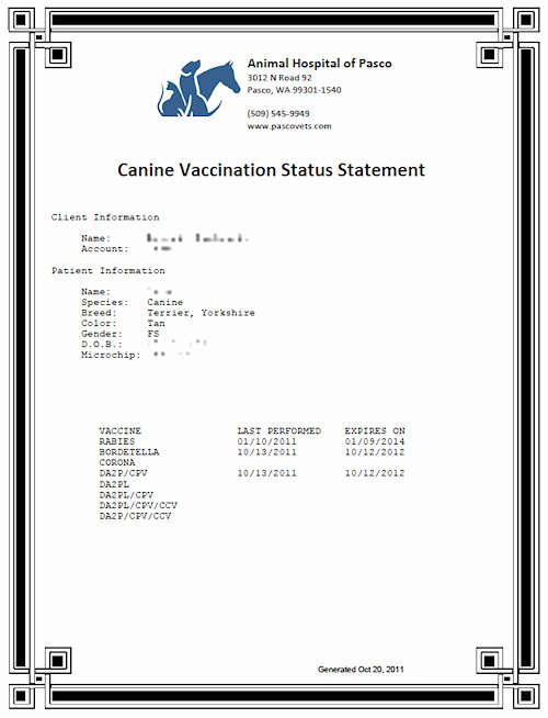 Dog Vaccination Certificate Template New Certificate Of Vaccination Template for Dogs
