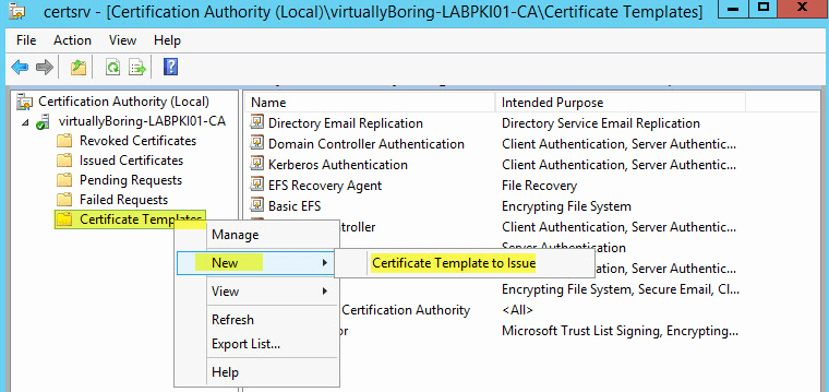 Domain Controller Certificate Template New How to Setup Microsoft Active Directory Certificate