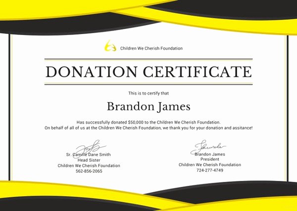 Donation Certificate Template Free Lovely Donation Certificate Template 8 Free Word Pdf