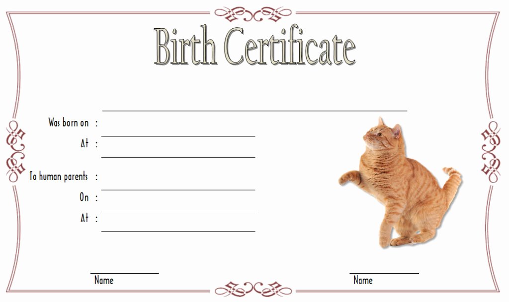 Editable Birth Certificate Template Awesome Kitten Birth Certificate Template [10 Cute Designs Free]