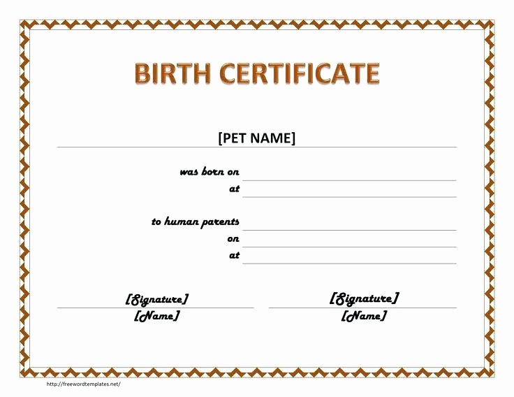 Element Birth Certificate Template Unique Blank Birth Certificate Template for Elements