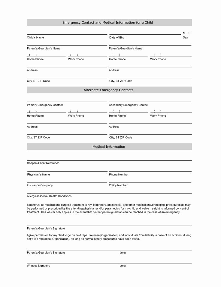 Patient Care Report Template