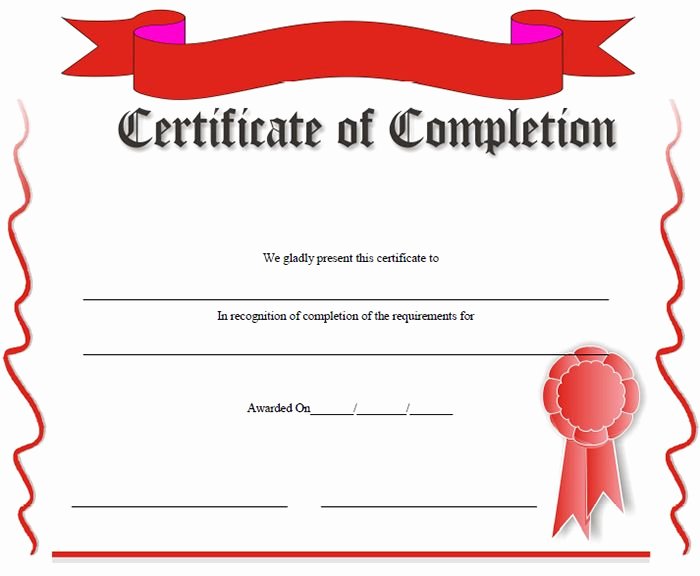 End User Certificate Template Inspirational 19 Certificate Of Pletion Templates