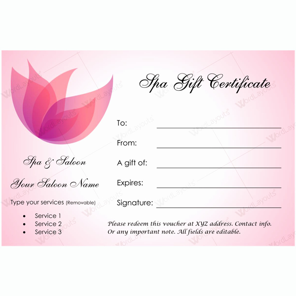 Facial Gift Certificate Template Fresh Gift Certificate 23 Word Layouts