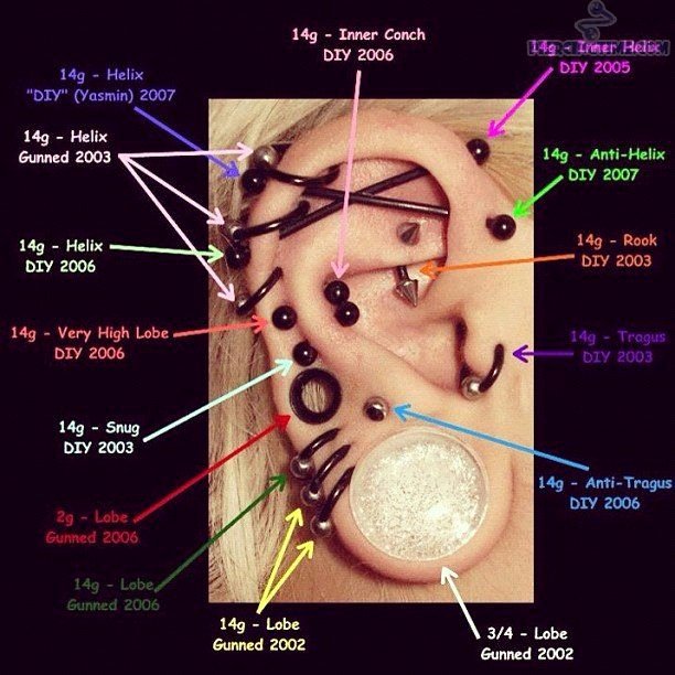 Facial Piercing Pain Chart Luxury Ear Piercing Chart Ok Piercings