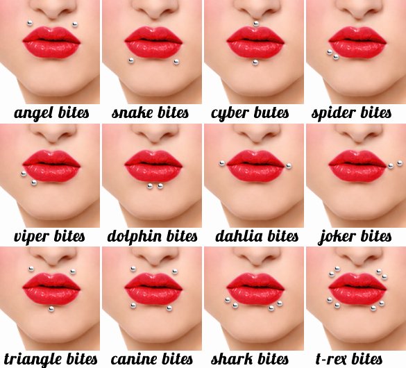 Facial Piercing Pain Chart New Lip Piercing Types Fotolip