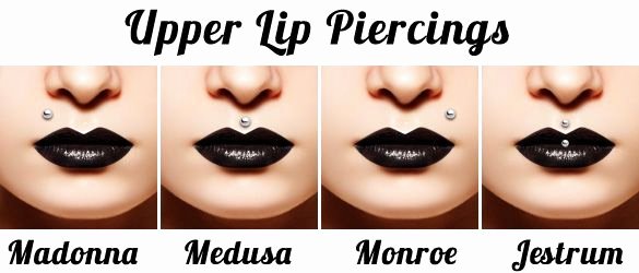 Facial Piercing Pain Chart Unique Piercings Of the top Lip
