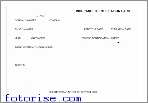 Fake Auto Insurance Card Lovely Free Fake Auto Insurance Card Template Example Free Fake