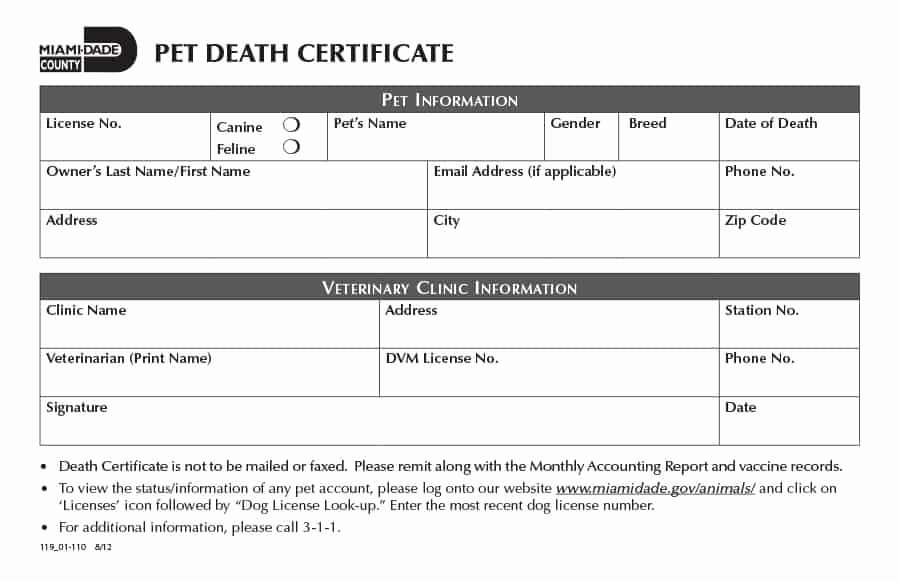 Fake Death Certificate Template Beautiful 37 Blank Death Certificate Templates [ Free]
