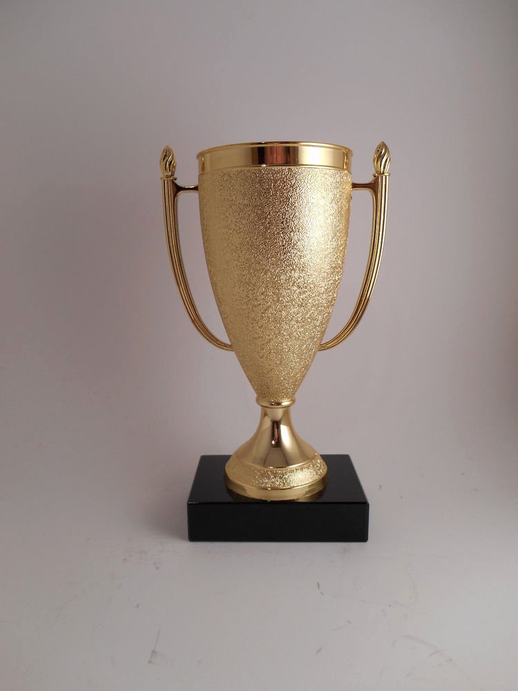 Fantasy Football Winner Certificate Awesome Fantasy Football Trophy Cup Individual Trophy Award Free