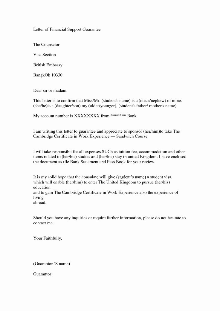 Financial Statement Letter Inspirational Financial Support Letter Image Gallery Nesta