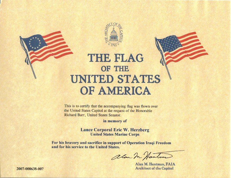 Flag Flying Certificate Template Unique 30 Of Flag Flown Template