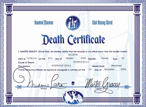 Free Death Certificate Template Best Of Death Certificate Template Microsoft Word