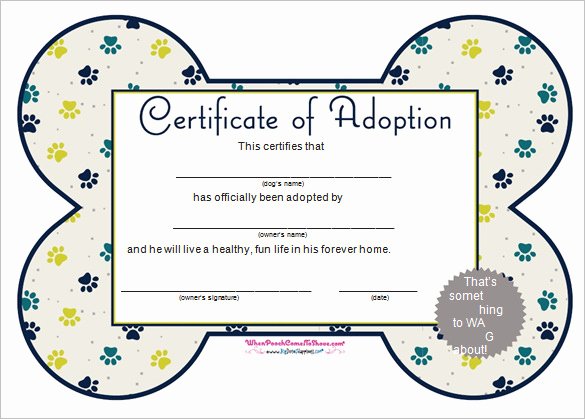 Free Dog Birth Certificate Template Microsoft Word Luxury Word Certificate Template 53 Free Download Samples
