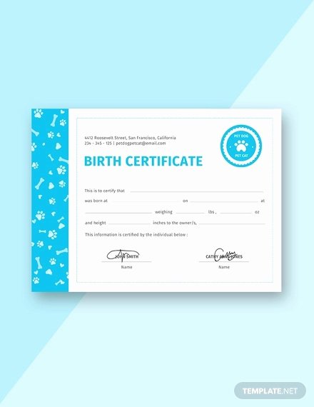 Free Dog Birth Certificate Template Microsoft Word New Birth Certificate Template 38 Word Pdf Psd Ai