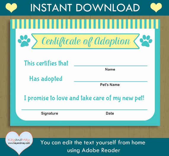 Free Pet Adoption Certificate Template Luxury Pet Adoption Certificate Instant Download Printable Pet