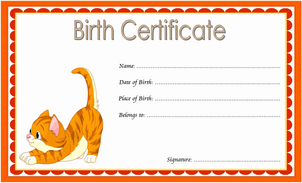 Free Pet Birth Certificate Template Lovely Kitten Birth Certificate Template [10 Cute Designs Free]